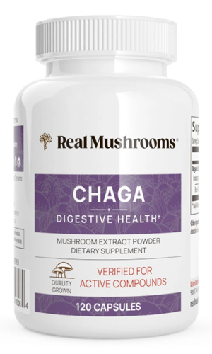 Chaga mushroom 120 caps (차가버섯)